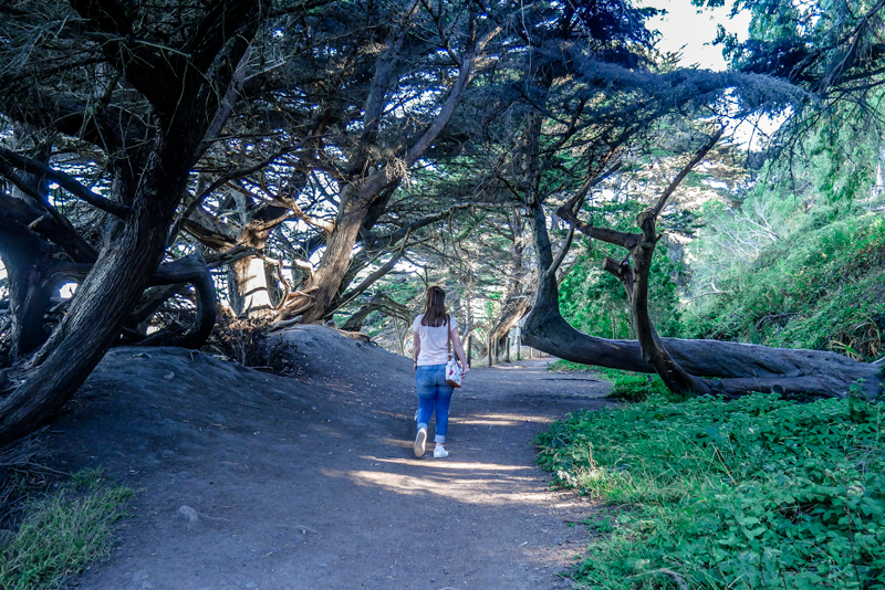 Eagles Point, San Francisco